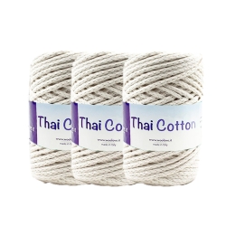 Promo 3 Fettucce Thai...