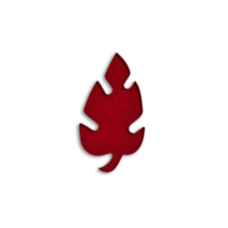 Feuille de taille moyenne