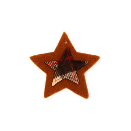 Brown Felt Star
