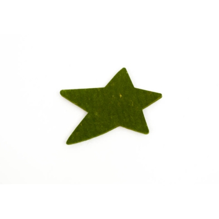 Étoile en feutre vert
