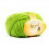 Verde Acido 21