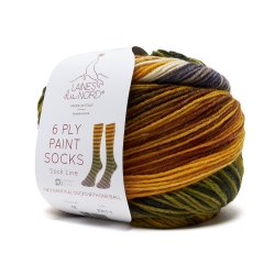 Chaussettes 6 Ply Paint de...