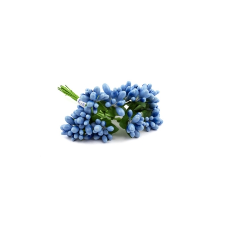 Petites fleurs bleues pour...