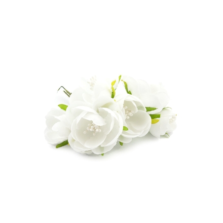 Fleurs blanches pour...