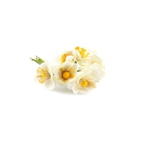 Yellow-white flowers for...