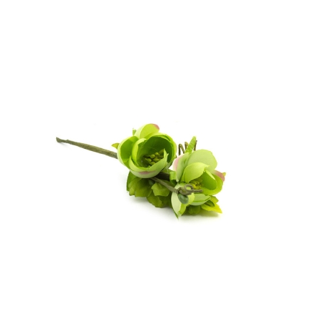 Fleur verte pour cadeaux de...