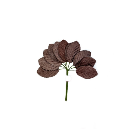 Feuilles de velours marron...